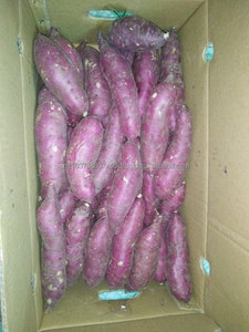 มันเทศจากเวียดนาม2021 - Product Image 4