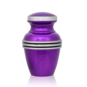 Urne de crémation en laiton violet brillant classique souvenir en métal unique pour cendres d'animaux de compagnie avec conception de bande argentée pour le stockage commémoratif - Product Image 1