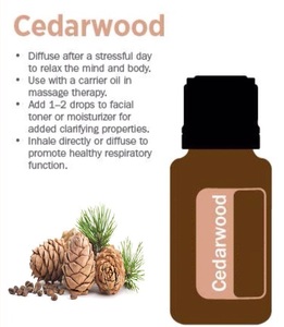 Huile Essentielle Pure de Cèdre et d'Arbre à Thé de Qualité Cosmétique Certifiée GMP Inde Prix de Gros en Vrac Échantillon Gratuit Services de Livraison Rapide - Product Image 4