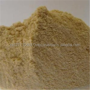 Extracto de hierba de plátano lanceolata, polvo de extracto de hierba de plátano - Product Image 2