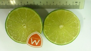 มะนาวไร้เมล็ดสดจากเวียดนาม - Product Image 2