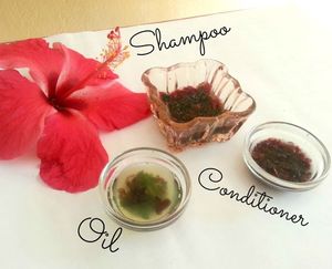 Fournisseur en gros en vrac de 100% d'huile essentielle de graines d'ambrette pure et naturelle-meilleure qualité, meilleur prix, exportateurs disponibles - Product Image 4