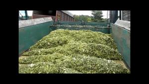 ENSILAGE DE MAÏS/ENSILAGE DE CÉTOUT/RESIDUS AGRICOLES - Product Image 5