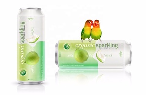 Bebida de Coco Espumosa en Lata de 320 ml, Bebida Rita con Sabor a Fruta, Baja en Carbohidratos, Puré de Alta Calidad a un Precio Razonable - Product Image 6