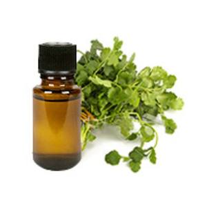 Aceite esencial de cilantro puro 100%, aceite de semilla de Coriandrum Sativum para el cuidado de la piel, masaje, saborizante de alimentos, cáscara de La India, grado crudo de exportación - Product Image 2
