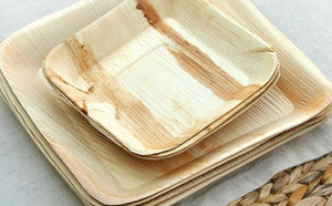 Platos de Palma Areca/Platos de Palma ecológicos - Product Image 5