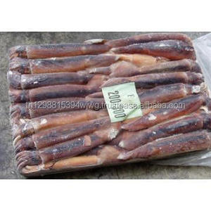 Squid Loligo congelé Tube entier et tentacule - Product Image 1