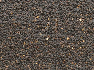 Graines de sésame naturelles d'Afrique du Sud de qualité alimentaire. Disponible pour 2021. Pré-commandez maintenant - Product Image 3
