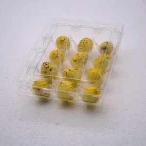 Wholesale plastic quail egg tray egg packaging cartons for 12 holes