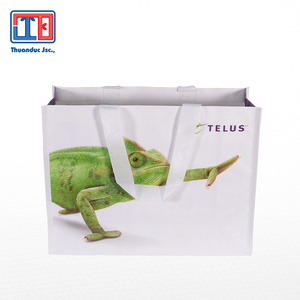 Top 1 PP Tissé/Non-Tissé Shopping Sac Recyclé Sac Usine Directe Vietnamien - Product Image 4