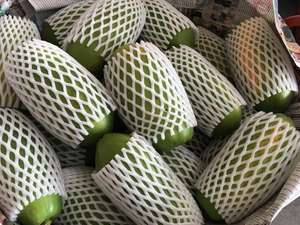 มะละกอแดงสดจากเวียดนาม ราคาถูกจากฟาร์มโดยตรง - Product Image 4