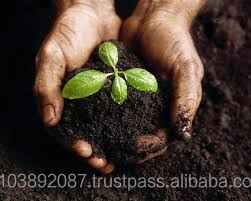 ถุงปลูกพืชแบบไฮโดรโปนิกส์ กาลูกุ ทำจากใยมะพร้าวและปุ๋ยอินทรีย์ชนิดชิป ขนาด 16.5 ลิตร สำหรับปลูกพืช LK - Product Image 4