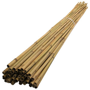 Straight moso beautiful raw bamboo poles, bamboo canes