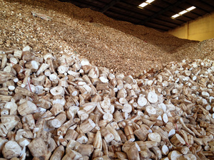 CHIPS DE YUCA SECOS DE ALTA CALIDAD/PRECIO AL POR MAYOR - Product Image 5