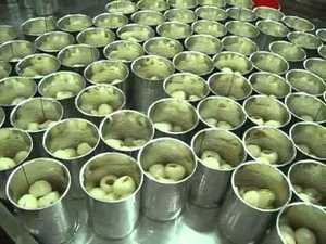 ผู้ผลิตลิ้นจี่กระป๋องคุณภาพสูงเวียดนาม / ผลไม้ลิ้นจี่กระป๋องในน้ําเชื่อม / ลิ้นจี่ในราคาถูก - Product Image 5