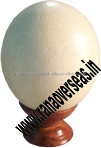 Porte-œufs d'autruche polis de qualité supérieure avec finition en bois et en métal, idéal pour la décoration élégante de la maison et les présentoirs de collection - Product Image 2