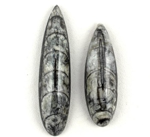 Orthoceras naturel pierre précieuse poire forme lisse Cabochons lâche fabrication de bijoux pierre Collection Style coupe - Product Image 5