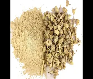 100% Natural High Quality Tribulus Terrestris Extract 40% Saponins