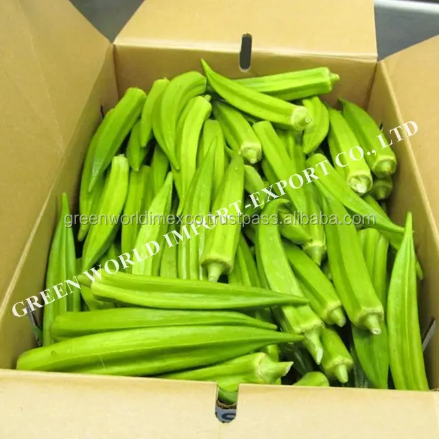 Okra congelé, goût frais et délicieux, meilleur prix du Vietnam-Okra IQF pour la nourriture de qualité supérieure en 2022