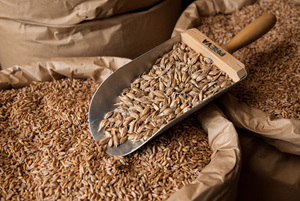 Trigo duro a granel y salvado de trigo molido AD secado con textura suave y dura para uso en piensos 24 meses de vida útil - Product Image 3