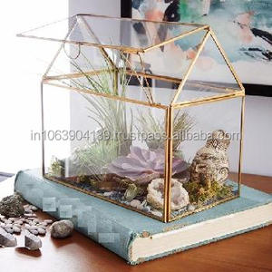 TERRARIUM en verre, forme de maison, plante - Product Image 2