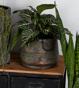 Maceta de Metal de latón para jardín - Product Image 3