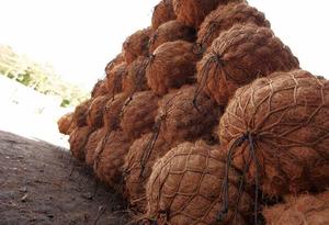 Troncos de fibra de coco/BioCoir - Product Image 3