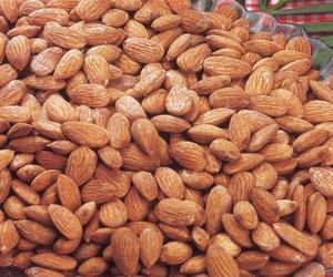 Mitades de albaricoque dulce enlatado con jarabe ligero Fruta seca de bajo precio para uso alimentario - Product Image 1