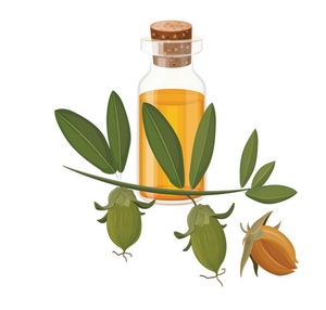 Huile de lavage professionnelle OEM, étiquette privée, emballage personnalisé - Product Image 2