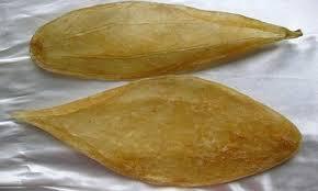 Vejiga de natación, fauces de pescado para sopa, grado de exportación desde Vietnam - Product Image 3