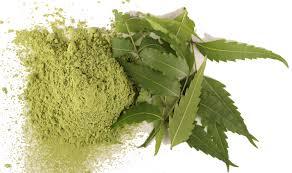 POUDRE DE NEEM - Product Image 4