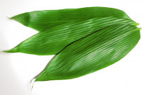 Feuilles de bambou séchées de haute qualité en provenance du Vietnam, longueur 25-30 cm, meilleur prix - Product Image 2