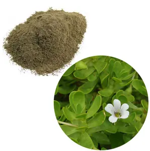 Polvo de Hojas de Brahmi (Bacopa Monnieri) de la India, Herbal, Triple Refinado, Calidad de Exportación Semipermanente - Product Image 1
