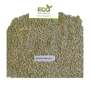 Major Supplier Green Millet Bajra Seeds For Export Only