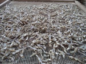 Pescado pequeño de anchoa seco - Product Image 5