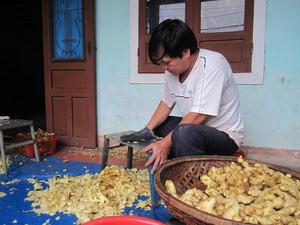 JENGIBRE SECO CRISTALIZADO PARA HACER GALLETAS DE VIETNAM - Product Image 2