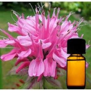 Aceite Esencial de Monarda 100% Natural y Orgánico, Líquido Antienvejecimiento, Antiarrugas, Fortalecedor del Cabello, Nutritivo para Uñas, Grado Superior OEM - Product Image 4