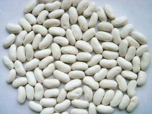 Frijoles Blancos Grandes 180-200 piezas/100g, Grado Superior, Secos, Envasados al Vacío, Venta al Por Mayor - Product Image 5