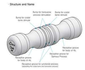 CoreDiet S150 DeepRoller Foam, équipement de sport durable pour massage, étirements de la colonne vertébrale, entraîneur de gym intégré, Pilates, yoga, alignement à domicile - Product Image 2