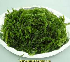 สาหร่ายทะเลแห้ง - Product Image 1