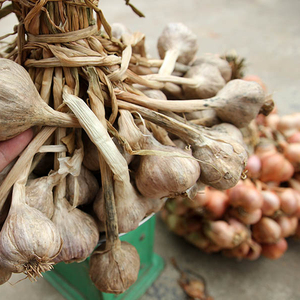WHOLESALE DRIED <b>GARLIC</b> - High-quality Dried <b>Garlic</b> From Vietnam - Product Image 1