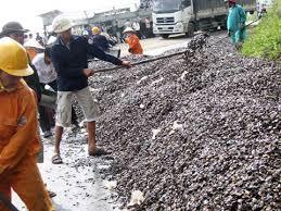 Residuos de concha de anacardo, Ms, vacaciones - Product Image 2