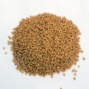 Semillas de fenogreco orgánicas puras 100% de calidad superior 5kg 10kg 15kg Bolsa de papel de plástico Proceso seco y horneado - Product Image 4