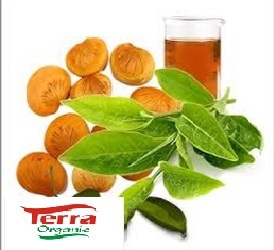 TERRA อินทรีย์ Karanja เค้กที่ได้จากเคอร์เนล Karanja ใช้สำหรับพืชและ Fams เป็นสารกำจัดศัตรูพืช-กดเย็น - Product Image 5