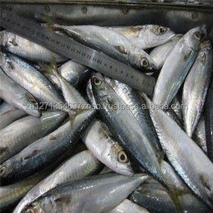 Envasado al Vacío Orgánico Grado a Filete de Pescado de Salmón del Atlántico Congelado Entero con Cabeza de Salmón - Product Image 2