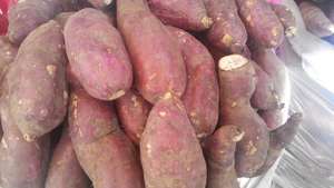 มันฝรั่งหวานธรรมชาติที่มีมาตรฐานการส่งออก - Product Image 3