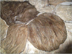 Omasum de bœuf congelé de qualité certifiée, séché, le plus vendu (traité/salé), en vrac - Product Image 3