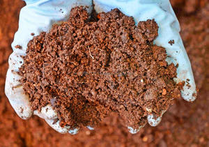 Organic <b>Compost</b> <b>Maker</b> for Enhanced Nutrition in Crops - Product Image 4
