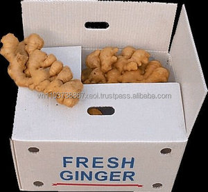 Jengibre fresco orgánico, oferta de Vietnam - Product Image 2