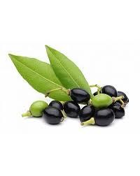 Aceite Esencial de Laurel Puro, Grado Aromaterapia Natural, Aceite de Laurel al por Mayor para Exportación - Product Image 2